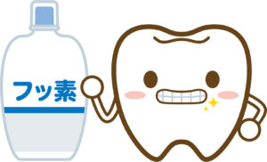 フッ素と歯